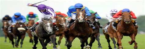Free Victorian Horse Racing Tips .